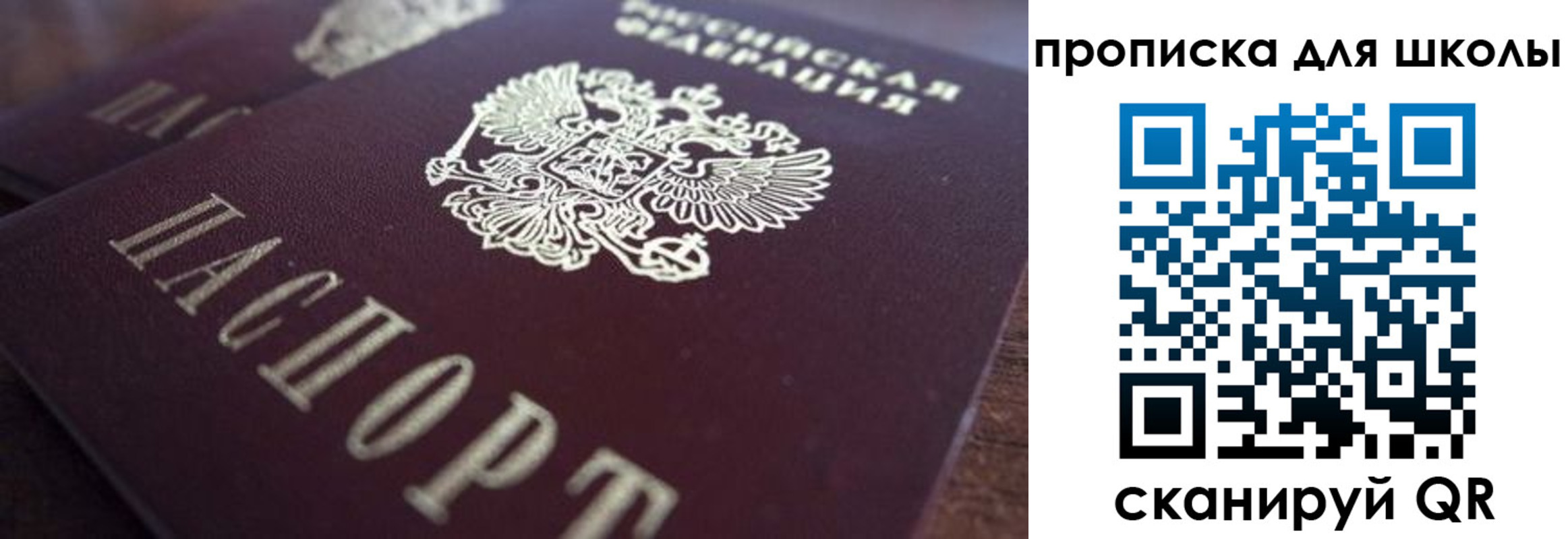 прописка поиск в Павловске